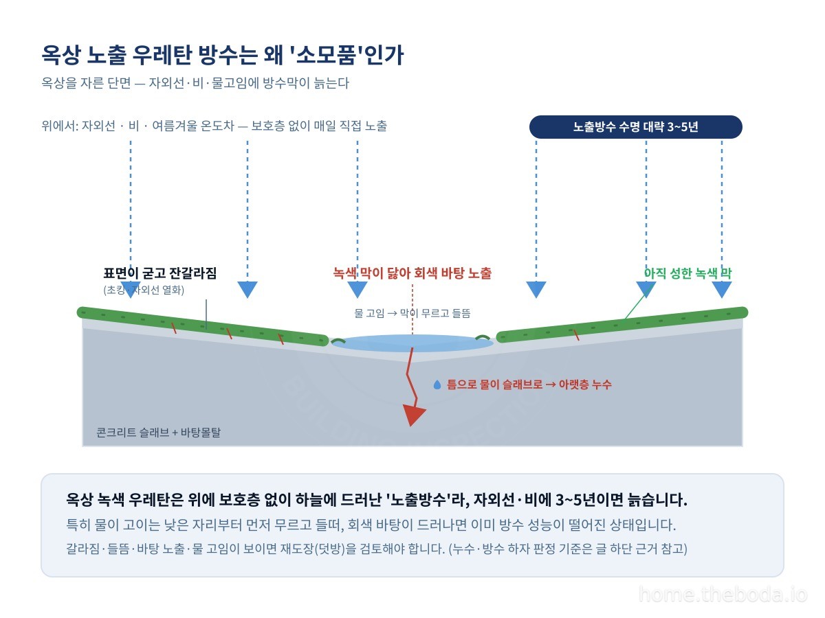 옥상 노출방수를 자른 단면. 하늘에 드러난 우레탄 막은 자외선·비·온도차를 직접 받아 굳고 갈라지며, 물이 고이는 낮은 자리부터 먼저 상해 바탕이 드러납니다. 그래서 주기가 되면 걷어내고 다시 발라야 합니다. (이해를 돕기 위한 그림)