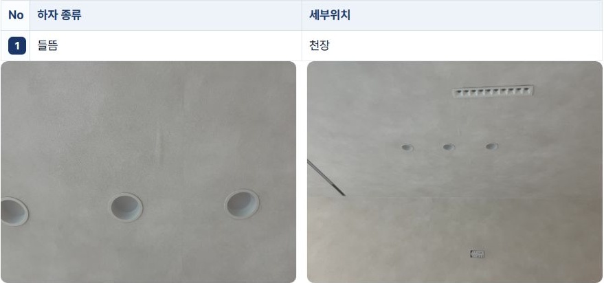 실제 보고서 1번의 거실 천장 들뜸 기록과 해당 부위 근경·원경 사진입니다. 이름과 주소 영역은 제외했습니다.